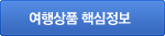 핵심정보표시