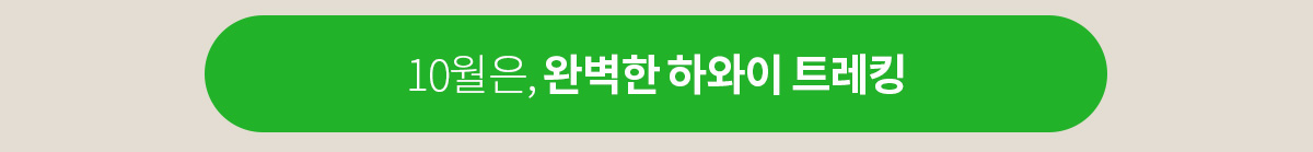 하와이